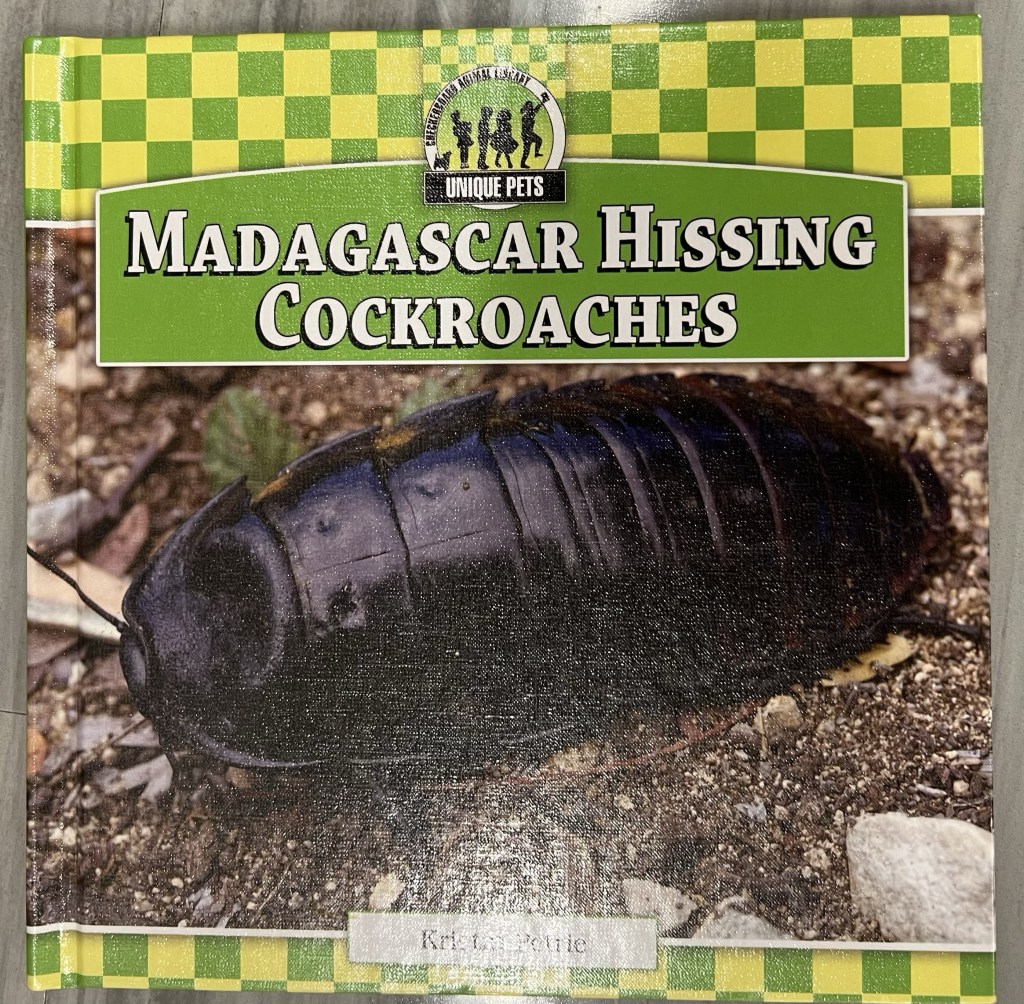 Nontraditional Class Pets